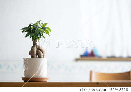 Bajumaru Bajumaru 89948768