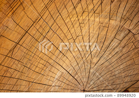 The structure of a cherry log close-up. Wooden background. The structure of a cherry log close-up. Wooden background. 89948920