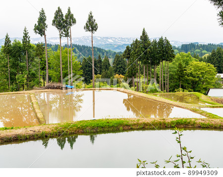 Beautiful mountain village early summer scenery Rice terraces in Niigata, where rice planting begins 89949309