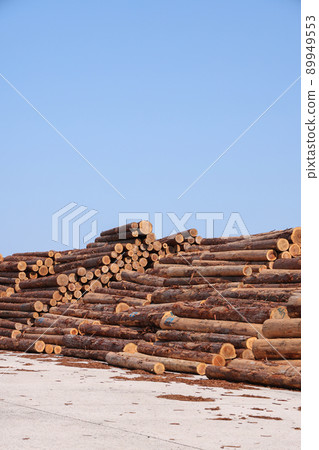 Lumber piled up in the harbor 89949553