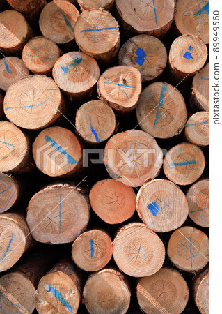 在港口堆積的木材 89949560