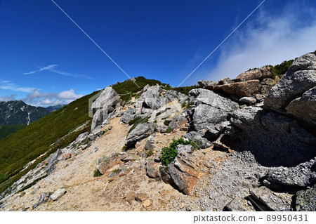 通往大天莊山頂的山路 89950431