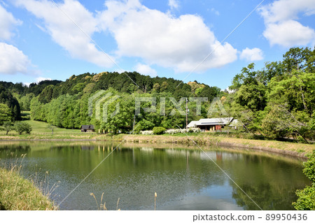 八田自然公園[奈良縣大和郡山市八田町] 89950436