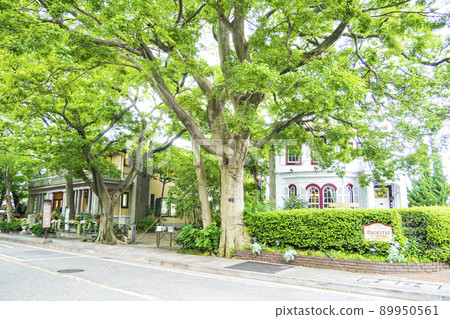 Yamate, Yokohama City, Kanagawa Prefecture (Ehrismann Residence, Yamate 234th Building) Yamate, Yokohama City, Kanagawa Prefecture (Ehrismann Residence, Yamate 234th Building) 89950561