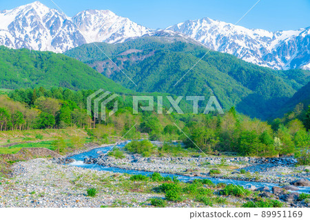 初夏從白馬橋看到的風景[長野縣] 89951169