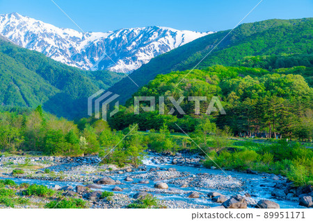初夏從白馬橋看到的風景[長野縣] 89951171