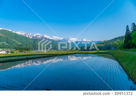 白馬村/初夏的稻田水鏡[長野縣] 89951372