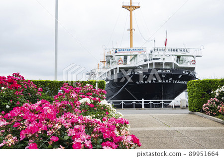Yamashita Park, Yokohama City, Kanagawa Prefecture 89951664