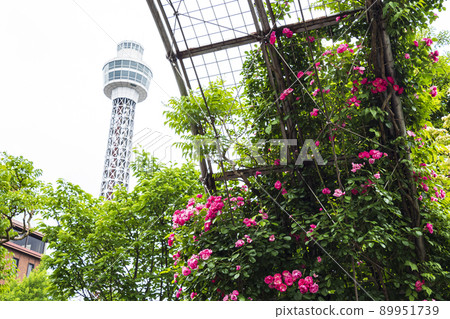 Yamashita Park, Yokohama City, Kanagawa Prefecture 89951739