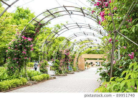 神奈川縣橫濱市山下公園 89951740