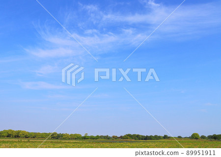 藍天卷雲場 藍天卷雲場 89951911