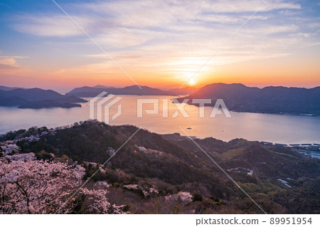 瀨戶內島波海道 / 岩木島關前山 3,000 株櫻花（多多羅橋後方） 夜景 89951954