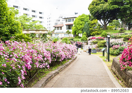 神奈川縣橫濱市海港景觀公園的初夏 神奈川縣橫濱市海港景觀公園的初夏 89952083