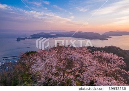 瀨戶內島波海道/岩木島關前山 3,000 株櫻花夜景 89952286