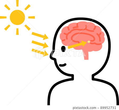 陽光下的人和松果體 89952731