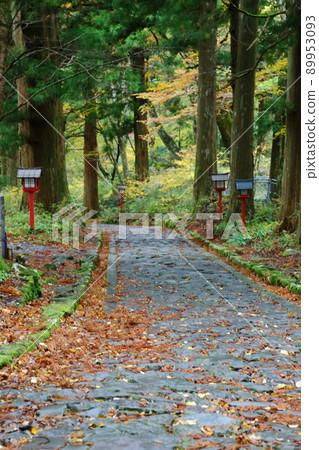 小山:秋天的石板路 小山:秋天的石板路 89953093