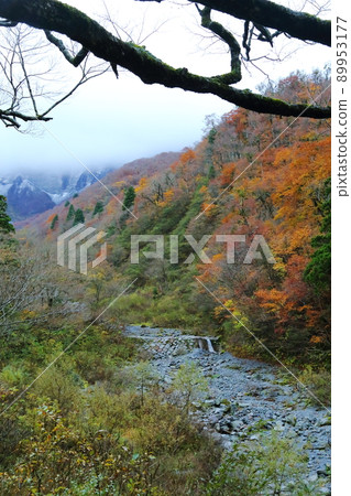 Daisen: Sai no Kawara in the rain Daisen: Sai no Kawara in the rain 89953177
