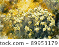 Abstract digital painting of wild flower in yellow tones 89953179
