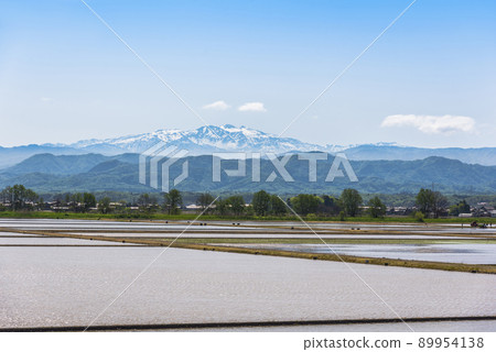《Ishikawa Prefecture》 Kaga City, rice planting landscape and Hakusan mountain range with residual snow 89954138