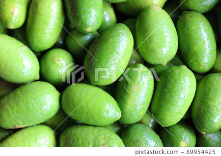 lemon on tree in the farm 89954425