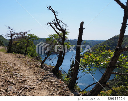 Scenery where you can see dead trees and the sea on the mountain trail of Tsushima Kaneda Castle Scenery where you can see dead trees and the sea on the mountain trail of Tsushima Kaneda Castle 89955224