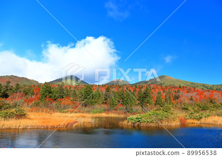 [Aomori] Autumn leaves of water lotus and Hakkoda mountain range 89956538