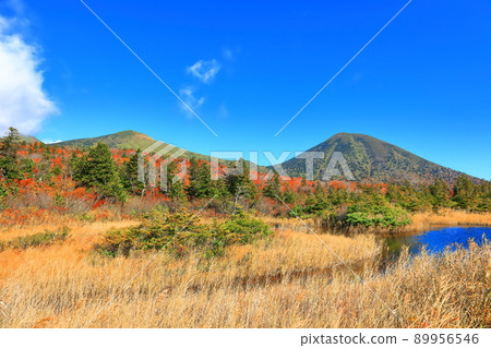 [Aomori] Autumn leaves of water lotus and Hakkoda mountain range 89956546