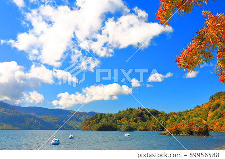 [Aomori Prefecture] Colored leaves of Lake Towada and Daikoku Shrine / Ebisu Shrine 89956588