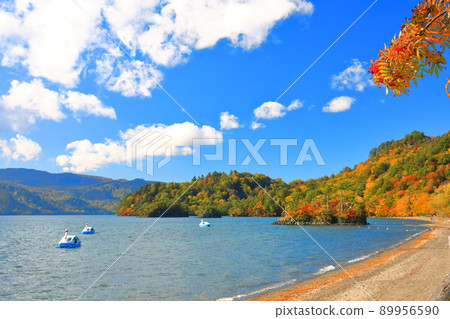 [Aomori Prefecture] Colored leaves of Lake Towada and Daikoku Shrine / Ebisu Shrine 89956590