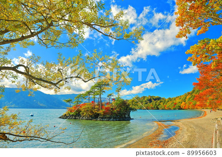 [青森縣]十和田湖和大國神社/惠比壽神社的紅葉 89956603