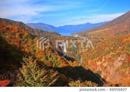 [Tochigi Prefecture] Kegon Falls in autumn colors (Nikko) 89956607