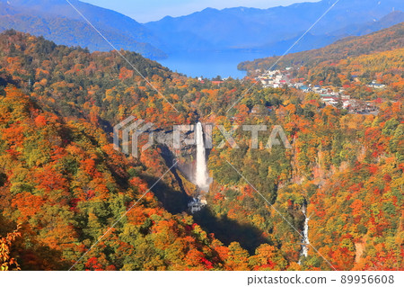 [Tochigi Prefecture] Kegon Falls in autumn colors (Nikko) 89956608