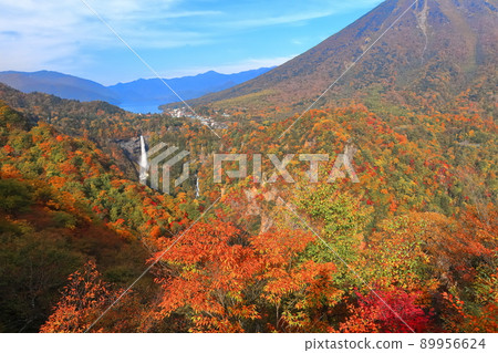 [栃木縣]秋天的華嚴瀑布（日光） 89956624