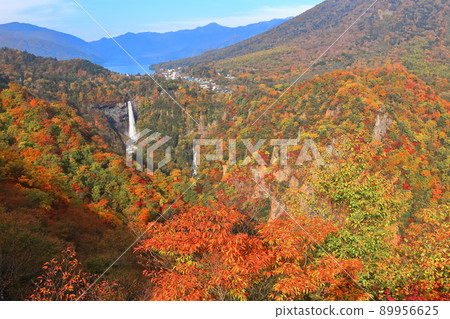 [Tochigi Prefecture] Kegon Falls in autumn colors (Nikko) 89956625