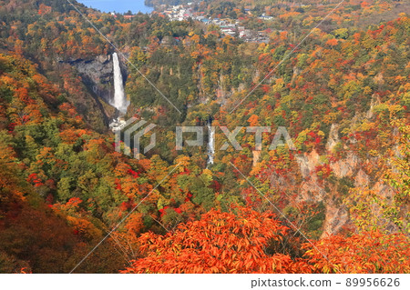 [栃木縣]秋天的華嚴瀑布（日光） 89956626