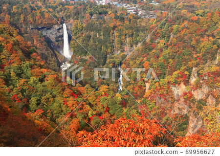 [栃木縣]秋天的華嚴瀑布（日光） 89956627