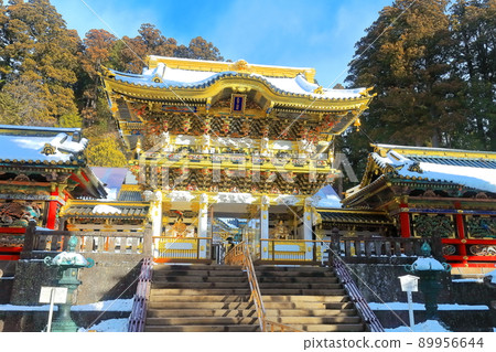 [Tochigi Prefecture] Yomeimon Gate under fine weather (Nikko Toshogu) 89956644