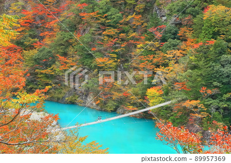 [靜岡縣]秋色的須俁峽夢之鶴橋 89957369