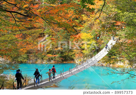 [Shizuoka Prefecture] Sumata Gorge Yume no Tsuribashi in autumn colors 89957373