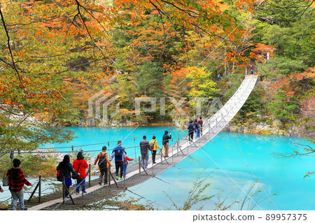 [靜岡縣]秋色的須俁峽夢之鶴橋 89957375