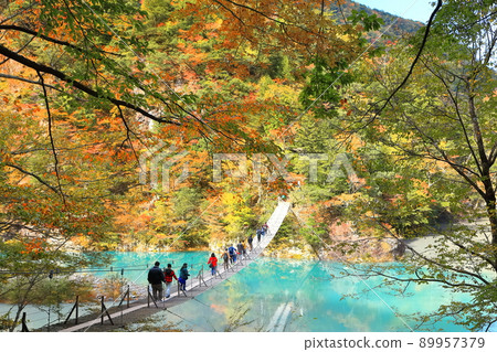 [Shizuoka Prefecture] Sumata Gorge Yume no Tsuribashi in autumn colors 89957379