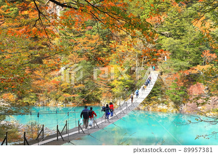 [靜岡縣]秋色的須俁峽夢之鶴橋 89957381