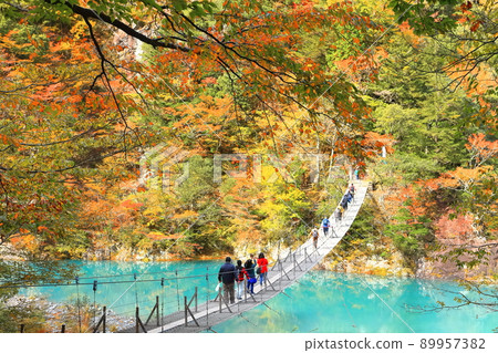 [靜岡縣]秋色的須俁峽夢之鶴橋 89957382