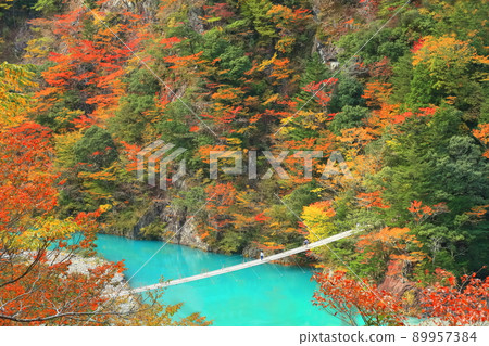[靜岡縣]秋色的須俁峽夢之鶴橋 89957384