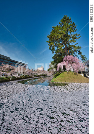 Hirosaki castle flower raft 89958338