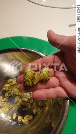 啤酒花的清淡水果 啤酒花的清淡水果 89958541