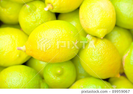 新鮮採摘的瀨戶內檸檬 21 89959067
