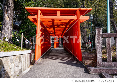 Fukagawa Okumiya Inari Shrine, a venerable Fukagawa Shrine founded in 771 AD (Seto City, Aichi Prefecture) 89959243