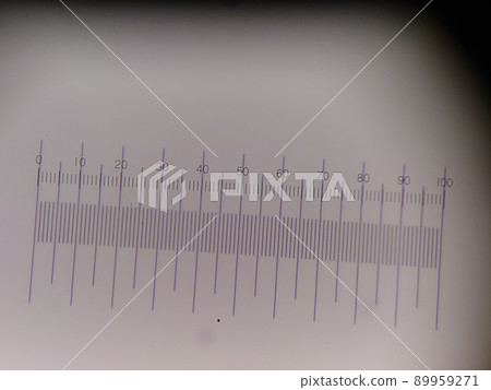 Microscopic observation using an eyepiece micrometer Microscopic observation using an eyepiece micrometer 89959271