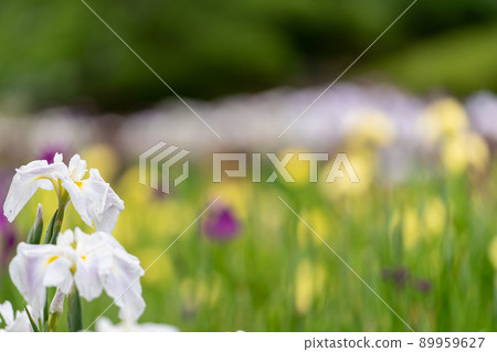 安曇野明科綾女公園 安曇野明科綾女公園 89959627